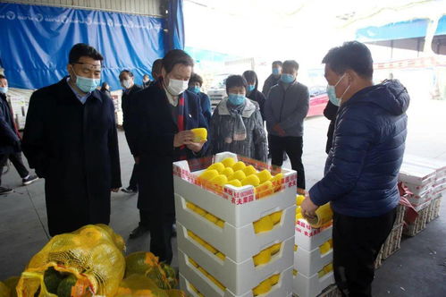 柳金钟书记深入襄都区检查指导食用农产品市场销售信息追溯系统建设