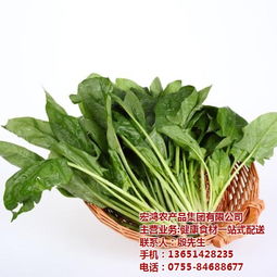 宏鸿农产品集团 一站式食材配送，守护餐桌健康与品质